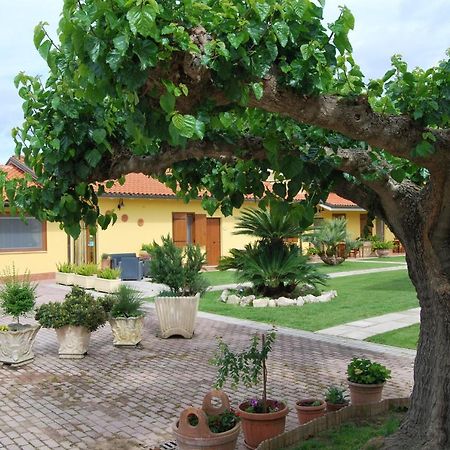 Le Terre Di Bac Bed & Breakfast Borgo Montenero Luaran gambar